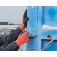 Cofra Winterhandschuhe FREEZING PRO Cofra Winterhandschuhe FREEZING PRO